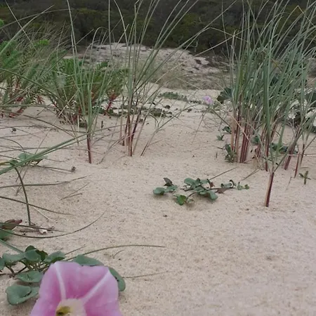 公寓 Cosy 莫列马阿