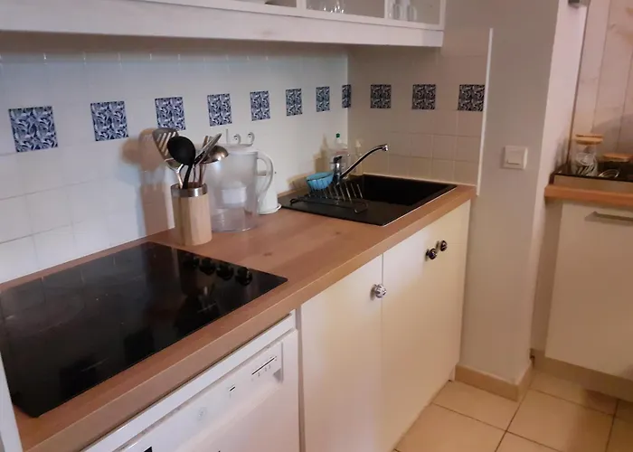 Διαμέρισμα Cosy Moliets-et-Maa