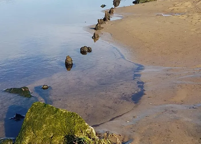 Διαμέρισμα Cosy