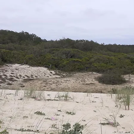 Cosy موليات-إي-ما